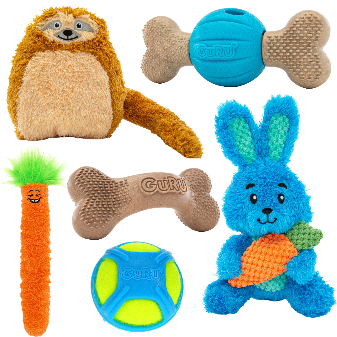 Dog Toy Pet Bunny Petsmart Light Up Dog Ball Petsmart GURU Small