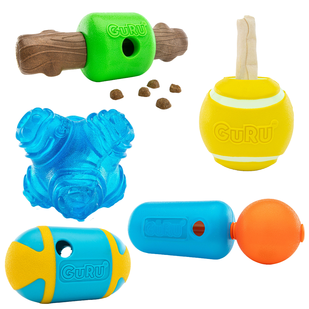 Puzzle Party Medium Dog – Guru Pet Company - Main Image