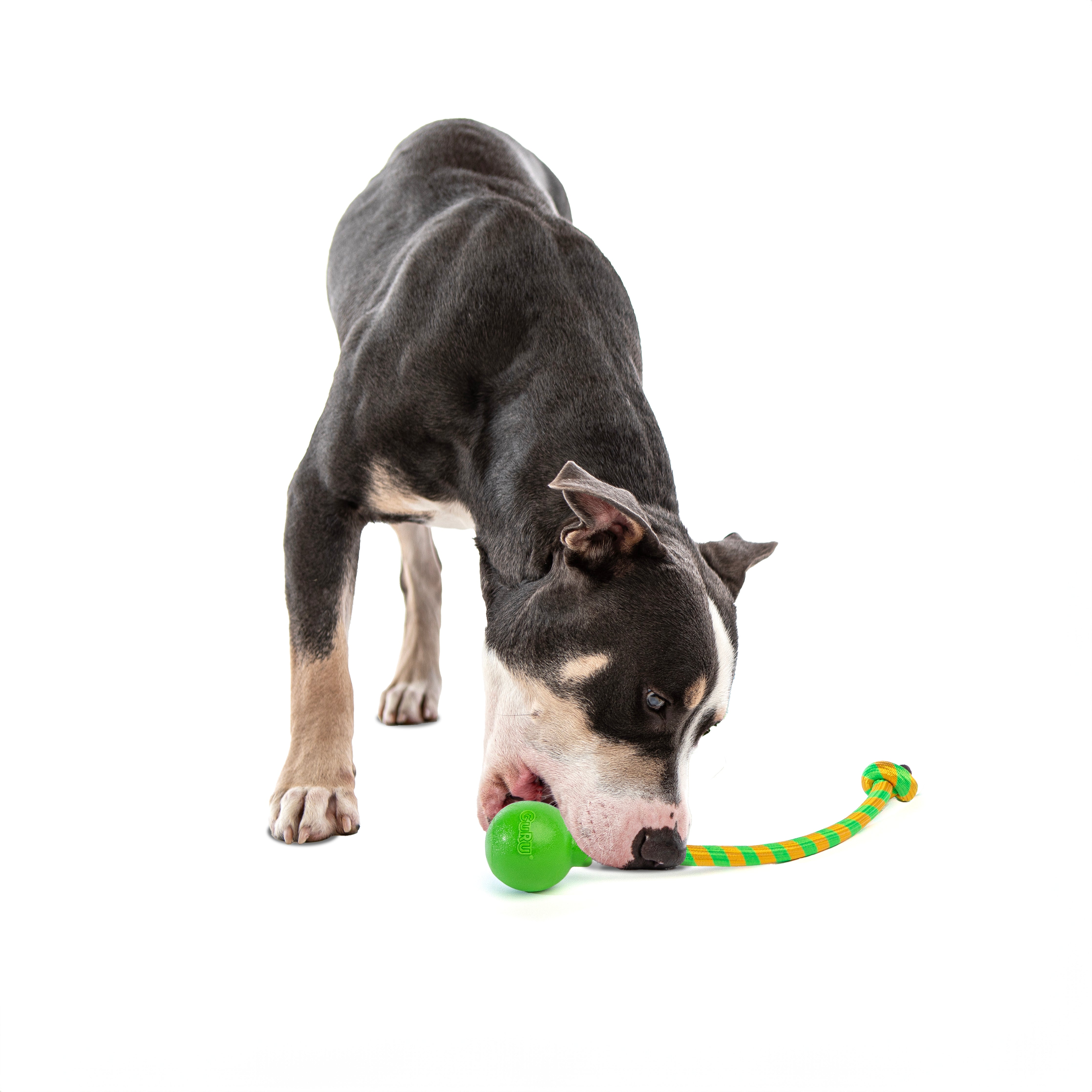 Single Squeaking Rope