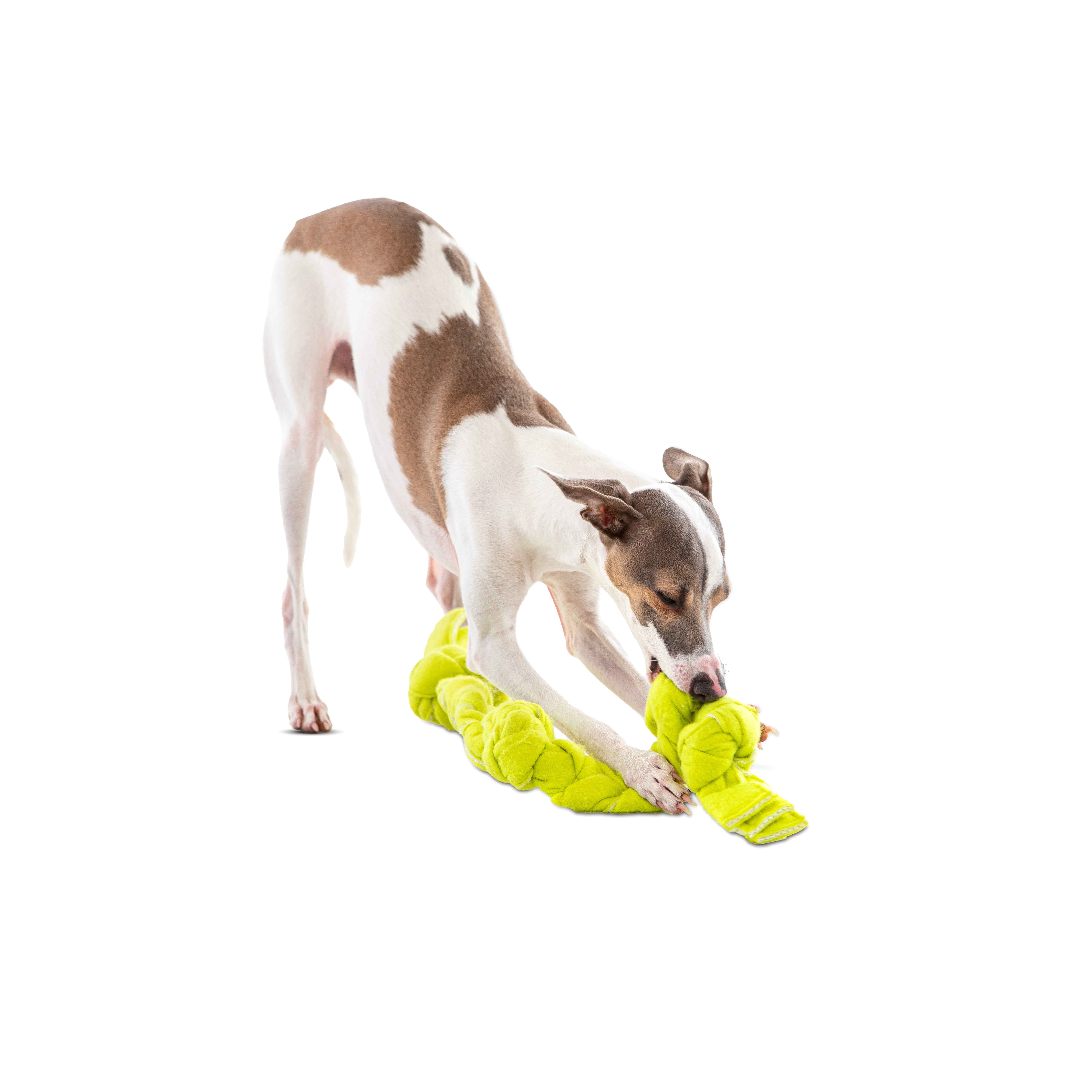 Figure 8 Squeaking Tennis Snuffle Rope